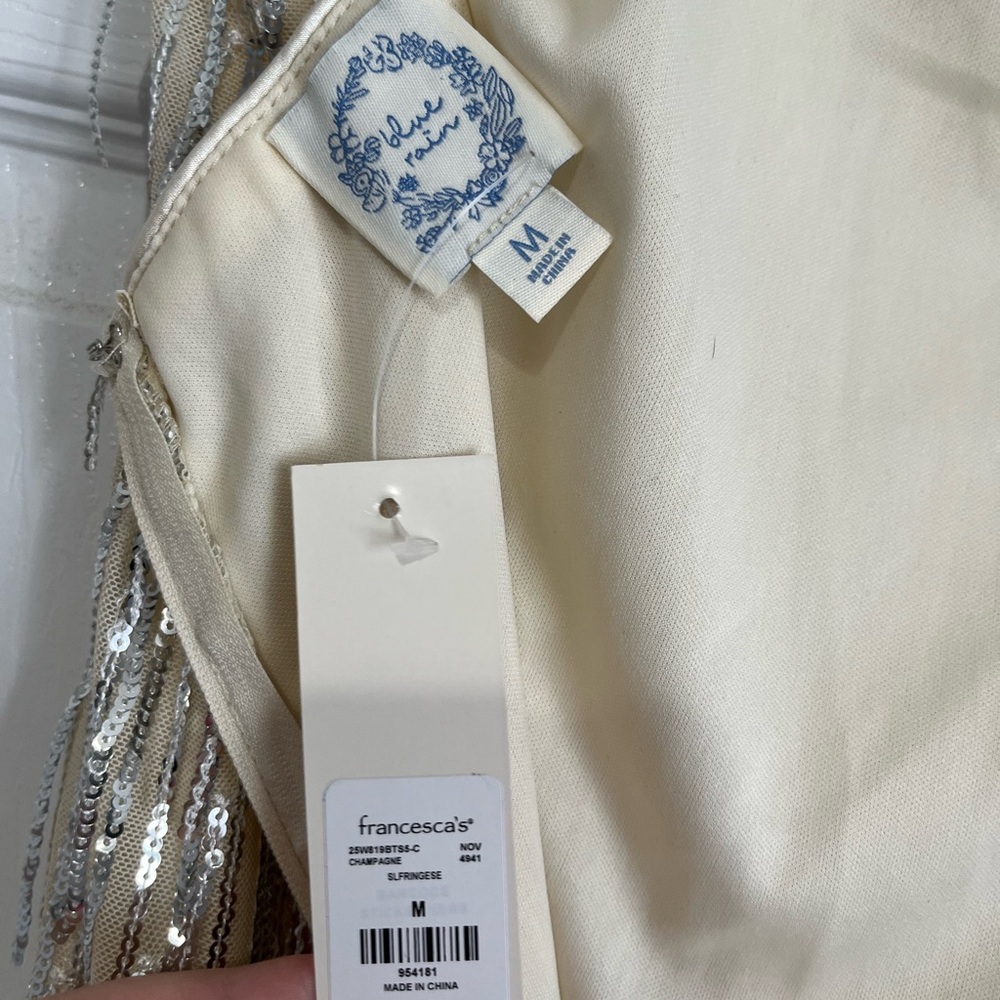 NWT Francesca's Sequin Fringe Dress by Blue Rain - Picture 7 of 8